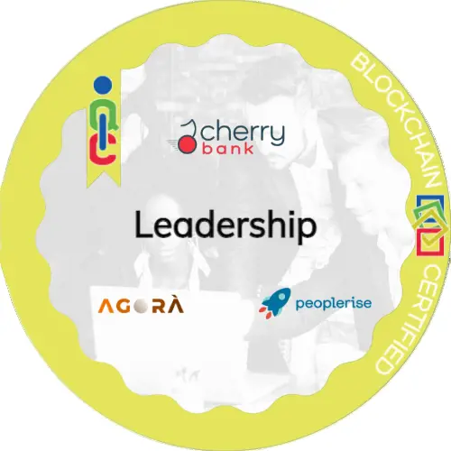 Badge pubblico 29527